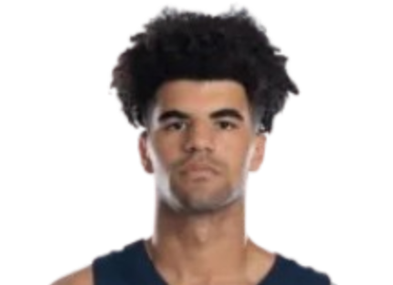 https://img.szsjwj.com/img/basketball/player/805b06ecdf5a41646599a8eb4c9b2cff.png