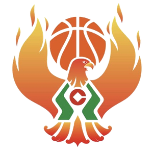 https://img.szsjwj.com/img/basketball/team/09b49d34027e0409a4de3295f8c71a2d.png