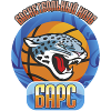 https://img.szsjwj.com/img/basketball/team/9008e0eb5cdc9f3e587e5838c6201832.png