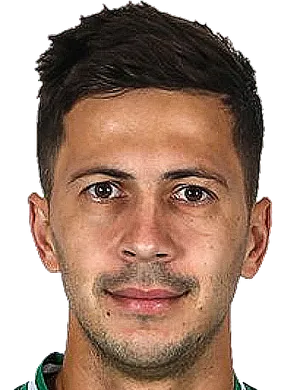 https://img.szsjwj.com/img/football/player/a7521cae3d55835286cc258209d1ffee.png