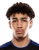 https://img.szsjwj.com/img/football/player/fb7fd3390bdc25307ce54843fe6472dd.png