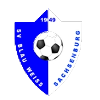 https://img.szsjwj.com/img/football/team/1cde488d47b598d2eed91775e6786258.png