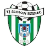 https://img.szsjwj.com/img/football/team/1e3cab433aa0780200515cc345ba594e.png