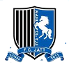 https://img.szsjwj.com/img/football/team/31ed3d3aec45e4ad8f335c2250856bb4.png