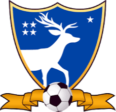 https://img.szsjwj.com/img/football/team/3c5892610a922e20fdba01565fa6643b.png