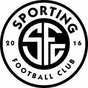 https://img.szsjwj.com/img/football/team/5add44d48f8512908d9484d11225084d.png