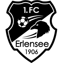 https://img.szsjwj.com/img/football/team/a23904e7205f9324e45c7fef24a620fd.png