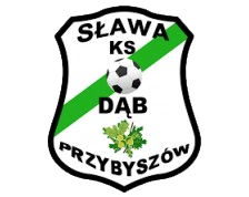 https://img.szsjwj.com/img/football/team/d15edd12c39cb614227bc3a3d8880e81.png